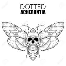 La planche est composée de 1 tattoo pour embellir votre peau. Dessin De Tete De Faucon Tete De Mort Noire En Pointilles Ou Acherontia Atropos Isole Sur Fond Blanc Illustration De Papillon Avec Crane Dans Un Style Dotwork Pour La Conception De Tatouage