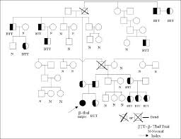 Figure 1 Beta Thalassemia Genetics Names