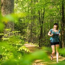 Asheville is also a wonderful place to travel with your family or if you are looking for a romantic getaway. Moving To Asheville Nc Asheville Area Chamber Of Commerce