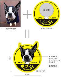 愛犬の写真と名前入り車用ステッカー紹介画像 ステッカー 車用ステッカー 犬