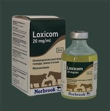 Loxicom 20mg Ml For Cattle For Use In Acute Respiratory
