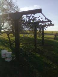 We did our own research and landed on this simple, cheap and be. Build A Grape Trellis To Last A Lifetime 7 Steps Instructables