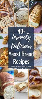 40 Insanely Delicious Yeast Bread Recipes Variety Of Bread And Loaves To Tantalize Your Taste Buds Savory Yeast Bread Recipes Bread Recipes Delicious Bread