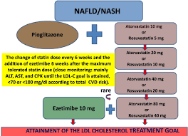 Analysis of the controlled rosuvastatin multinational trial in heart failure trial. The Use Of Statins Alone Or In Combination With Pioglitazone And Other Drugs For The Treatment Of Non Alcoholic Fatty Liver Disease Non Alcoholic Steatohepatitis And Related Cardiovascular Risk An Expert Panel Statement Metabolism Clinical And Experimental