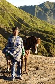 Sumbawa is an indonesian island, located in the middle of the lesser sunda islands chain, with lombok to the west, flores to the east, and sumba further to the southeast. Kuda Sumbawa Di Bromo Catatan Kedua Hari Keempat Makan Lagi Lagi Makan