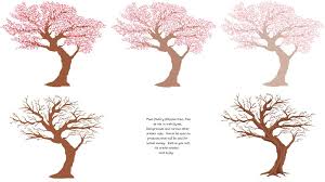 If you will just constraint on these tutorials then you will be able to learn that we can easily draw anime with squares, circles and rectangles. Realistic Cherry Blossom Tree Drawing Novocom Top