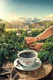 Juan Valdez On Behance Coffee Advertising Creative Poster Design Graphic Design Advertising
