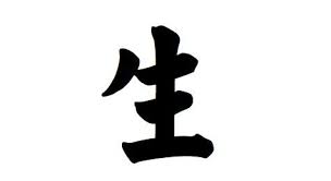 Not only do you need to consider what you want the image to be, you need to also consider the meaning behind it, whether or not the image will translate literally into the meaning, and how private to leave the tattoo. Chinese Symbol For Life Chinese Symbols Chinese Tattoo Loyalty Tattoo