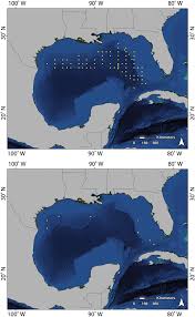 Fishing spots in texas and the northern gulf of mexico with top saltwater fishing spots and fishing maps with gps coordinates. Offshore Plankton And Benthos Of The Gulf Of Mexico Springerlink
