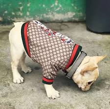 You can also get sweaters for french bulldogs that come with patches for different occasions. French Bulldog Gucci Clothes Promotions