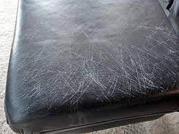 Maybe you would like to learn more about one of these? Dog Scratching Couch Www Macj Com Br