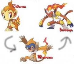 Top 6 Fire Starters In Pokemon Pokemon Pokemon Starters