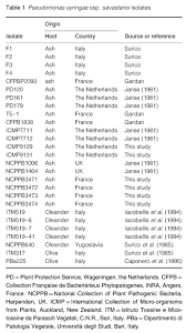 Image result for pseudomonas savastanoi pv nerii oleander symptoms
