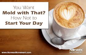 Does shopping for the best coffee cleaner descaler get stressful for you? Norwex Movement