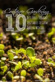 These are the vegetables that i have found will grow really well inside with good window light. Container Gardening The 10 Best Frost Tolerant Vegetables To Grow During Winter Frugally Sustainable
