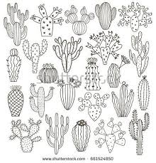 Aesthetic Black And White Cactus Drawing Vector Cactus Set Isolated On White Cacti Hand Drawn Doodle Illustration How To Draw Hands Doodle Illustration Plant Doodle