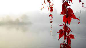 Find your next desktop wallpaper that inspires and excites. Best 40 Tranquil Desktop Backgrounds On Hipwallpaper Beautiful Widescreen Desktop Wallpaper Desktop Wallpaper And Naruto Desktop Backgrounds