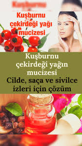 Kusburnu Cekirdegi Yaginin Faydalari Nelerdir Faydalari Nelerdir Guzellik Sirlari Saglik Ipuclari Cilt Bakimi