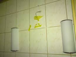 Image result for site:byggahus.se skaune