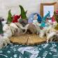 Needle Felted Gonk Workshop — The Children's Cen... event in Braddan