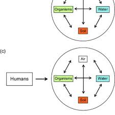 Eric G. Keeling's research works