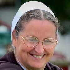 The Amish Natural Remedies: 2000 Holistic Remedies for Your Family's Daily  Life; Embrace the Amish Tradition and Restore Vitality with Ancient Herbal  Preparations: Hostetler, Anna: 9798312148008: Amazon.com: Books