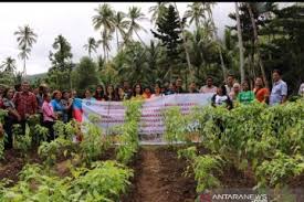 Check spelling or type a new query. Bi Jaga Ketahanan Pangan Antara News