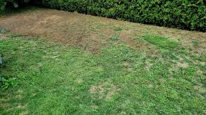 Image result for site:byggahus.se sådd