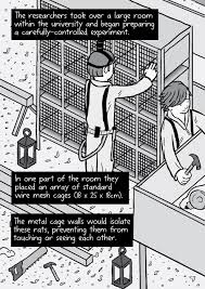 Rat Park drug experiment comic – Stuart McMillen comics