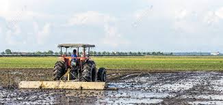 The malaysian tropical climate is very favorable for the production of various exotic fruits and vegetables, especially since peninsular malaysia seldom experiences hurricanes or droughts. Selangor Malaysia January 31 2016 Worker Uses A Machine Stock Photo Picture And Royalty Free Image Image 51775498