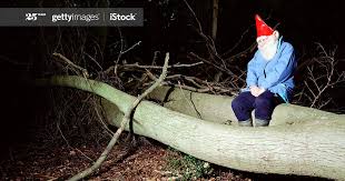 9 Weird Free Stock Images That Make Excellent Zoom Backgrounds In 2020 Stock Images Free Stock Images Weird