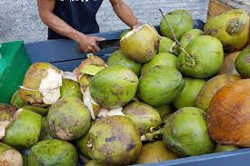Seberapa sering kamu minum air kelapa? Selain Sekat Selera Makan Minum Air Kelapa Muda Juga Boleh Tingkatkan Kesuburan Lelaki Maskulin