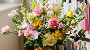 Check spelling or type a new query. Bloom Wild From Bloom Wild Health Service Discounts