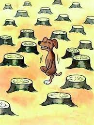 Lo que causa una gran cantidad de daños asociados a la calidad de los suelos. Dibujos De La Deforestacion Reforestacion Humor De Viernes Cartoon Jokes Chistes