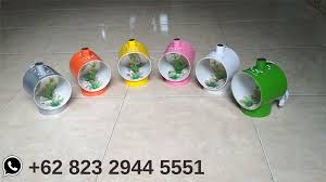 Check spelling or type a new query. Menarik Aquarium Ikan Cupang 62 823 2944 5551 Aquarium Aquarium Ikan Hiasan