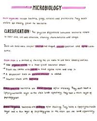 Pin On Printable Education Worksheet Templates