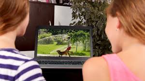 Sector 6 es un juego de estrategia compuesto por un novedoso sistema de losetas hexagonales móviles que harán que cada partida sea nueva y en sector 6, los jugadores deben moverse a través de un laberinto de paredes móviles e ir recopilando puntos de oxígeno para así conseguir ganar. Inspectoratul È™colar Al Municipiului BucureÈ™ti Beitrage Facebook