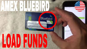 We did not find results for: How To Load Cash On Bluebird Prepaid American Express Youtube