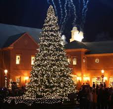 Commercial Christmas Trees Christmas Lights Etc Outdoor Christmas Tree Outdoor Christmas Tree Decorations Outdoor Christmas Lights