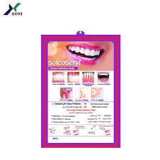 Anatomical 3d Wall Chart 3d Dental Model 3d Charts Buy Dental Charts 3d Charts Wall Charts Product On Alibaba Com