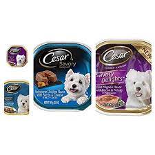 Cesar Wet Dog Food Bundle 3 5 Oz Pack Of 8 Includes 2 Cups Filet Mignon Flavor With Bacon Potato Filet Mignon F Canned Dog Food Wet Dog Food Bacon Potato