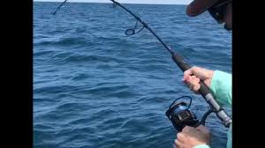 Stay confident on the water with the penn® carnage™ ii spinning rod. Penn Carnage Ii Boat Spinning Fishing Rod Off 67 Medpharmres Com