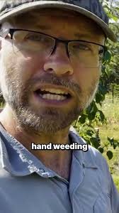 My Chop, Drop and Mow Technique in My Food Forest