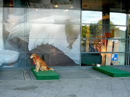 Does ikea have dog stuff. Dog Parking At Ikea