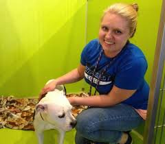 Here is what you need to know when visiting our adoption center. Kc Pet Project Finds Homes For Dogs And Cats By Discounting Fees The Kansas City Star