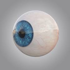 Human Blue Eye 3d Max Eyeball Art Eye Art Eye Drawing