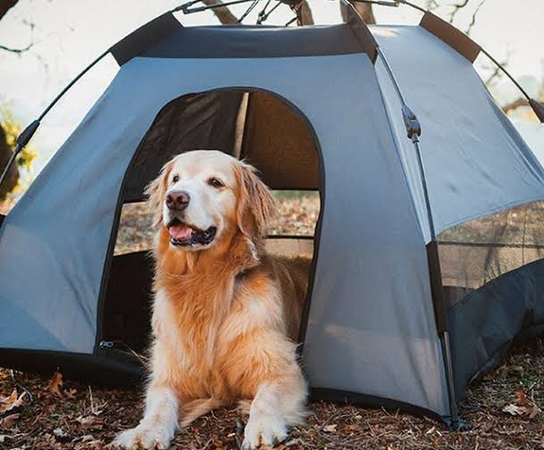 Outdoor Gear