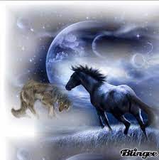 Wolf And Horse Horse Animation Animal Photo Manipulation Animals Wild