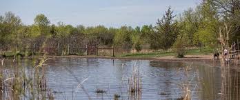 Hours, address, elm creek park reserve reviews: Elm Creek Dog Off Leash Area Three Rivers Park District