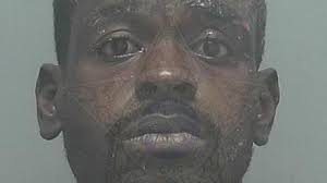 Man arrested for fleeing car crash and auto theft